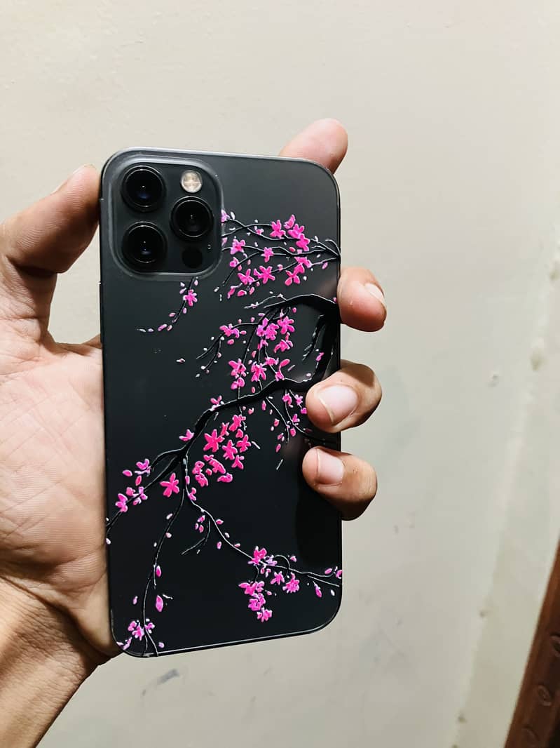 iPhone 12 Pro 4