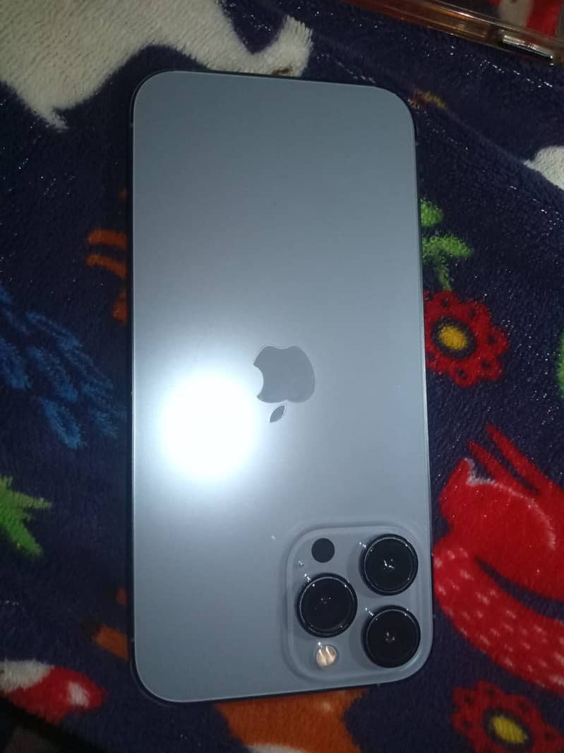 Apple iPhone 13 Pro Max 2