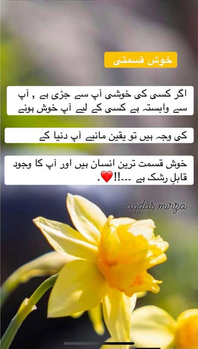 home tuter ki agr zrort ho to btyen khayaban e amin only