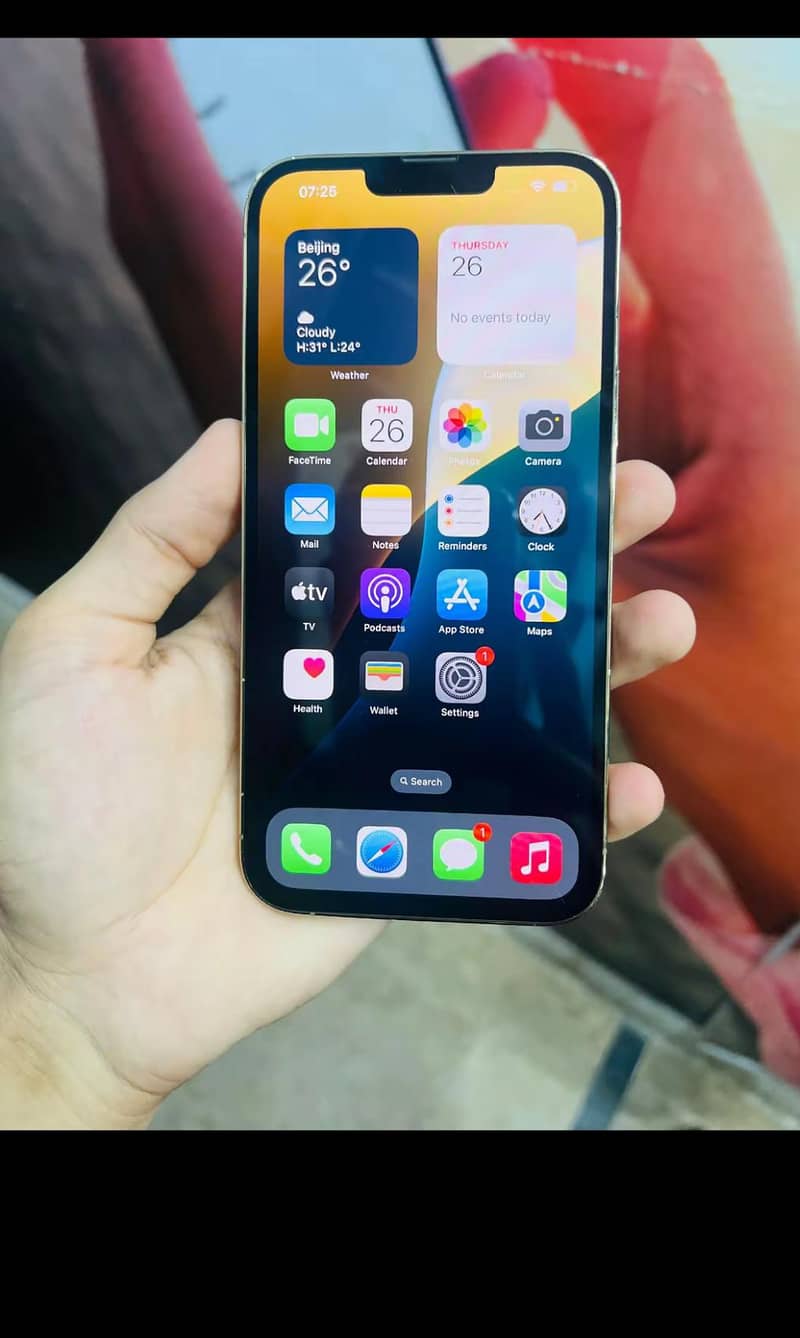 Apple iPhone 13 Pro Max 1