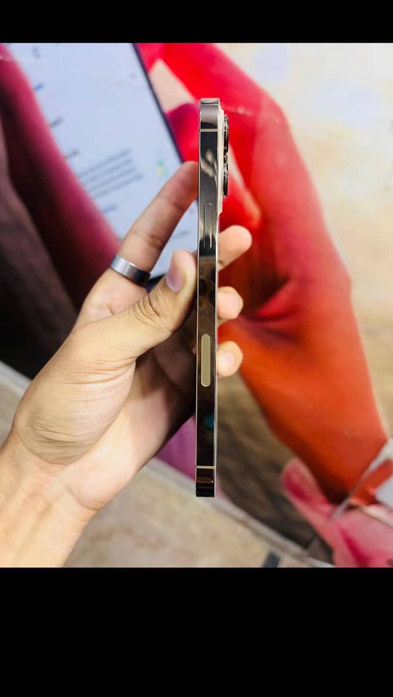 Apple iPhone 13 Pro Max 2