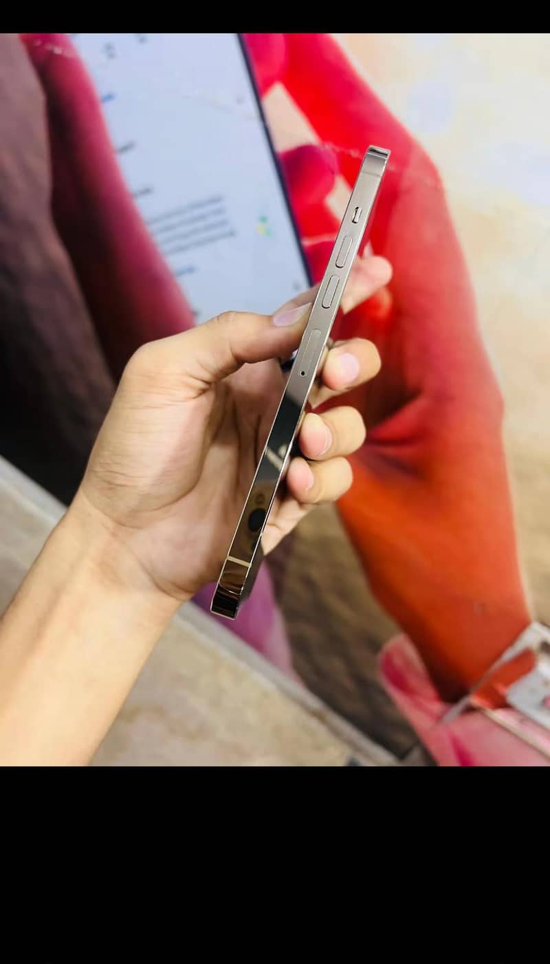 Apple iPhone 13 Pro Max 3