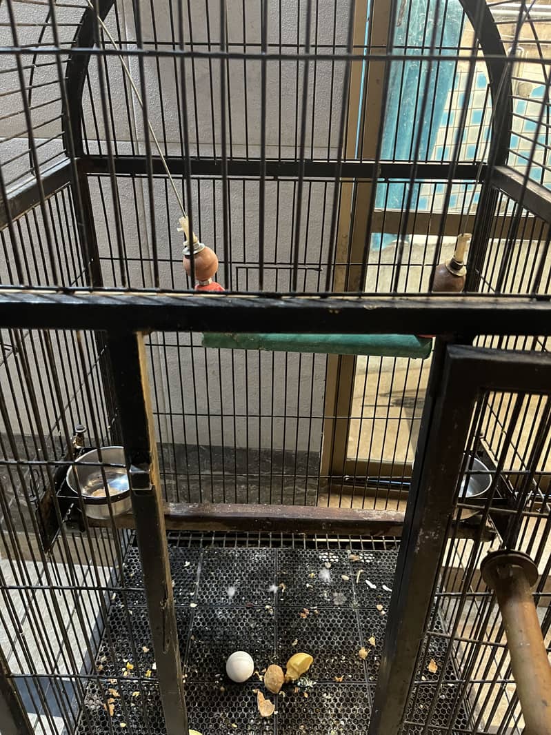 Cage big size 0