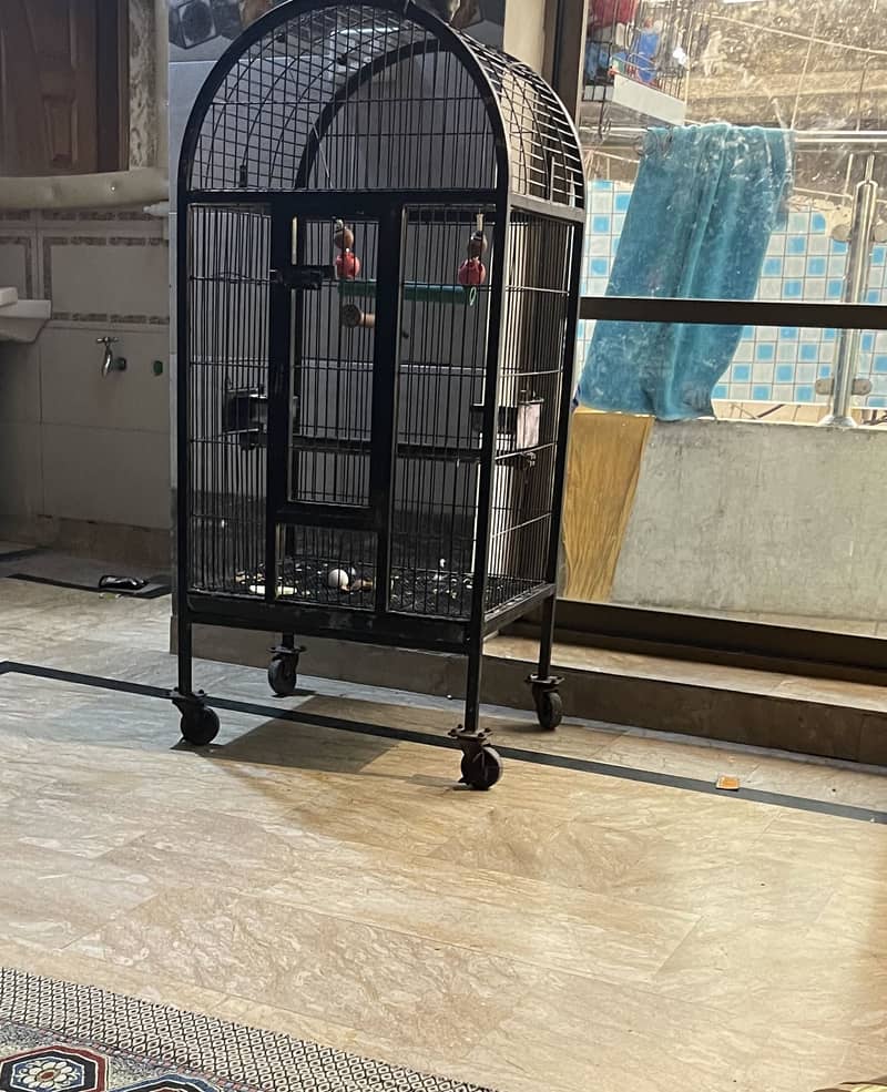 Cage big size 1