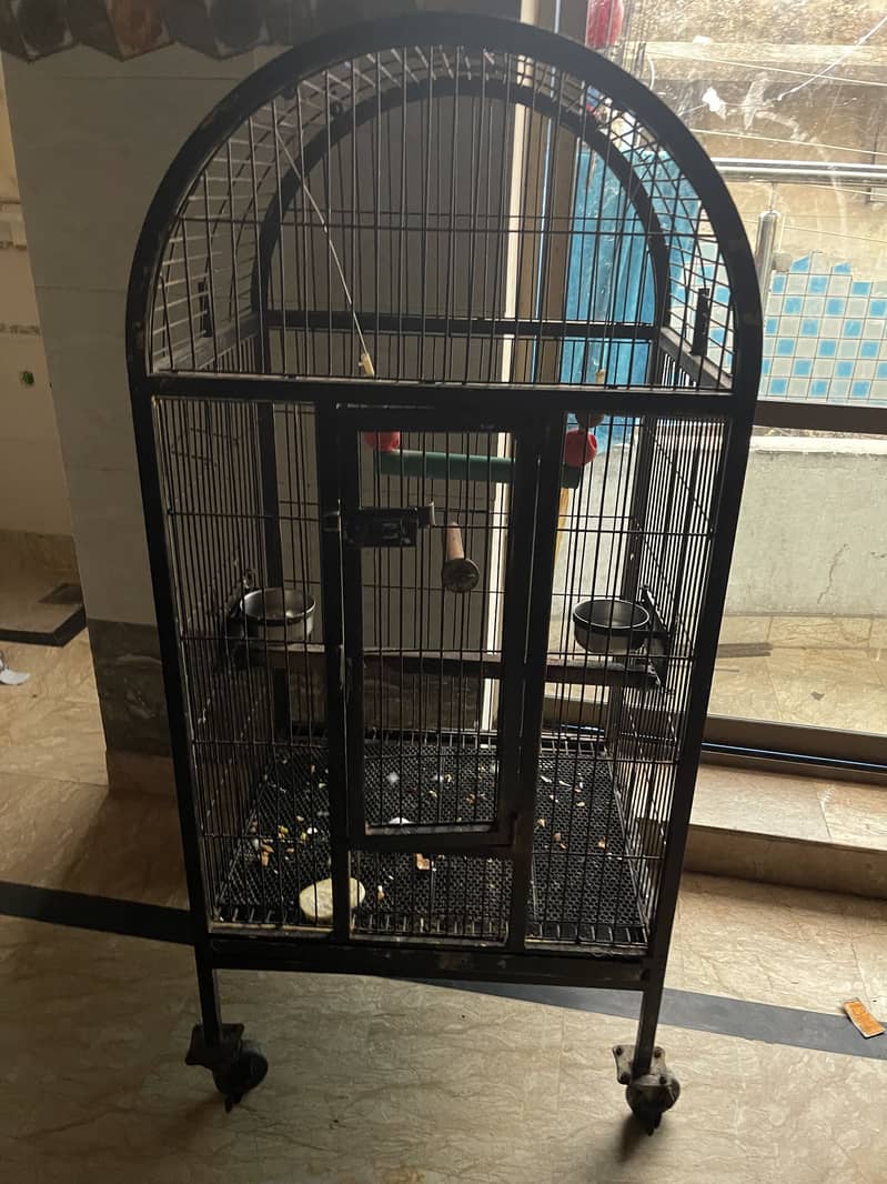 Cage big size 2