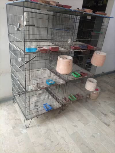 cage for sell