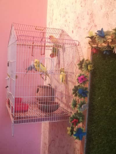 3 Pair with bird house.
