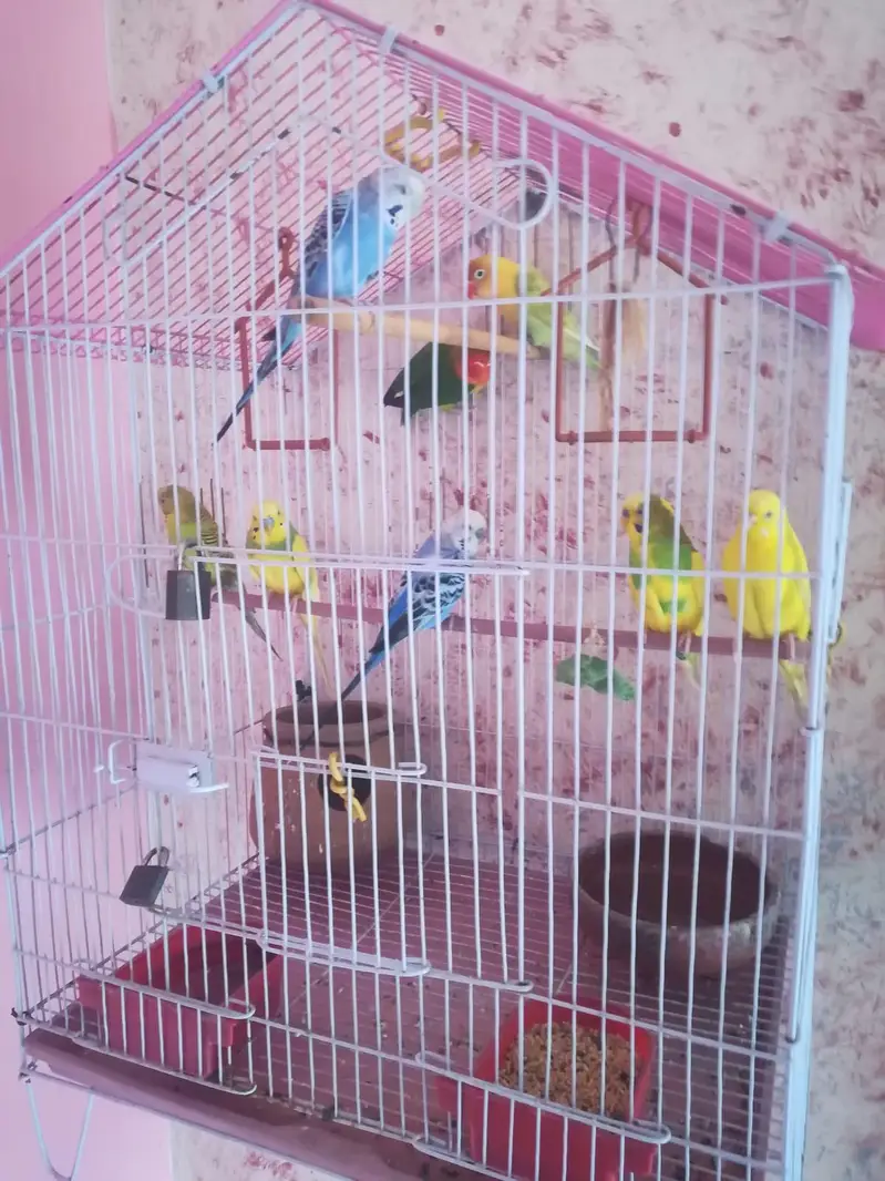 3 Pair with bird house. — photo 2