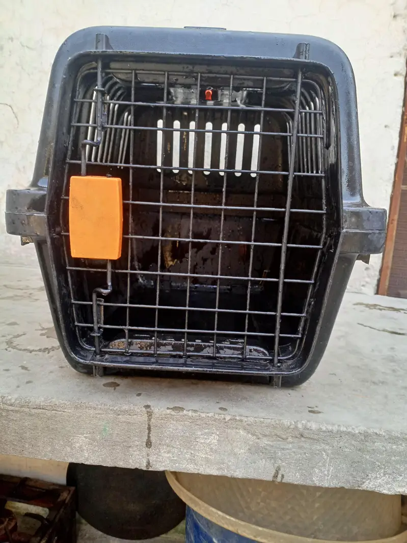 pet traveling large box — photo 2