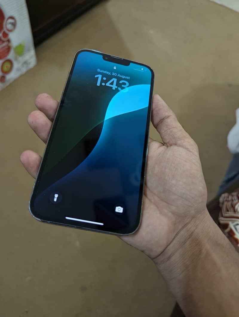 Apple iPhone 13 Pro Max 1