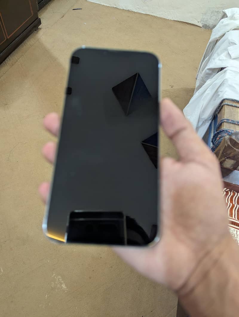 Apple iPhone 13 Pro Max 10