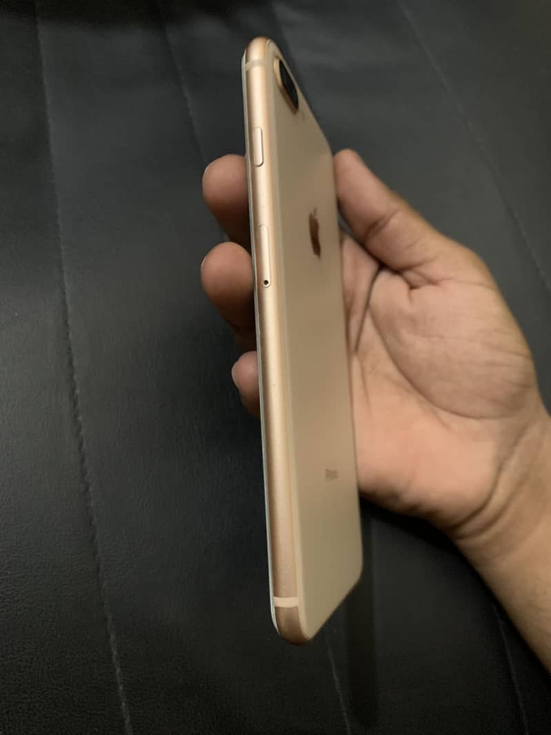 Apple iPhone 8 Plus 3