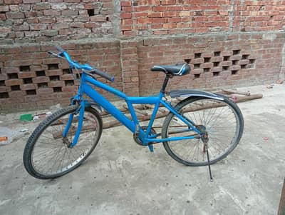 26 size cycle