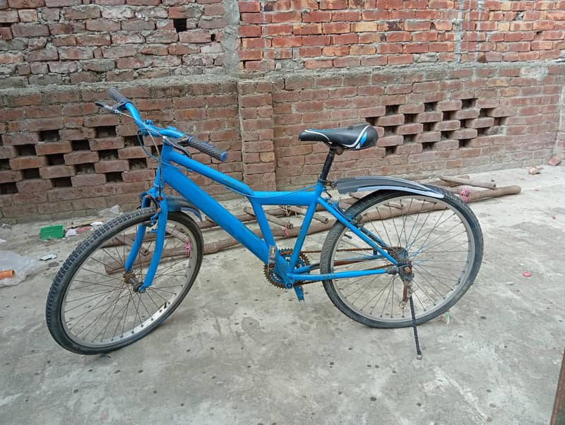 26 size cycle 0