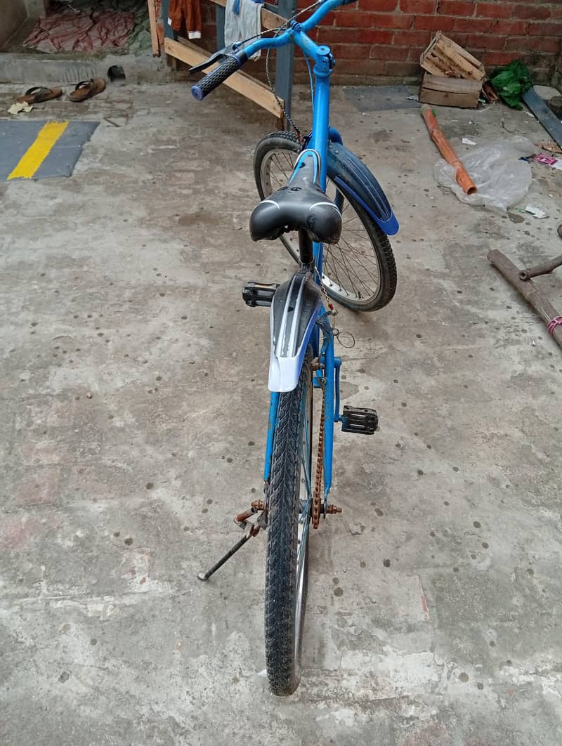 26 size cycle 1
