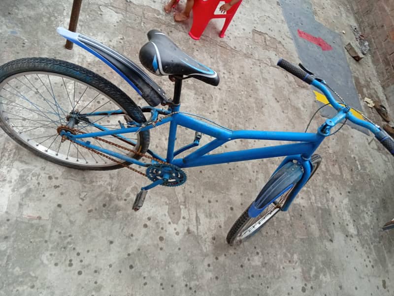 26 size cycle 3