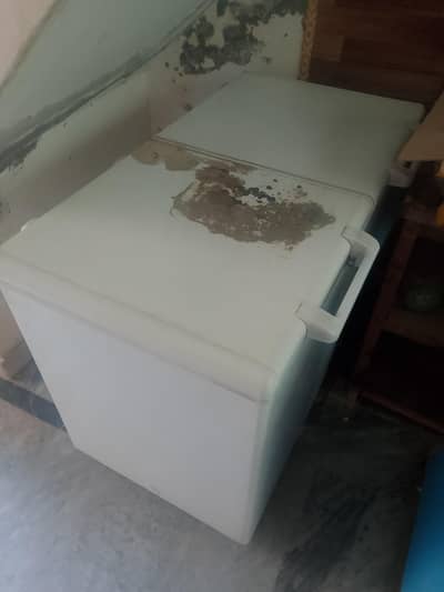 freezer+racks+counter for sale