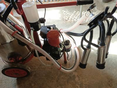 Milking machine , Melasty milking machine single cluster