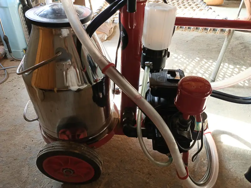 Milking machine , Melasty milking machine single cluster — photo 2
