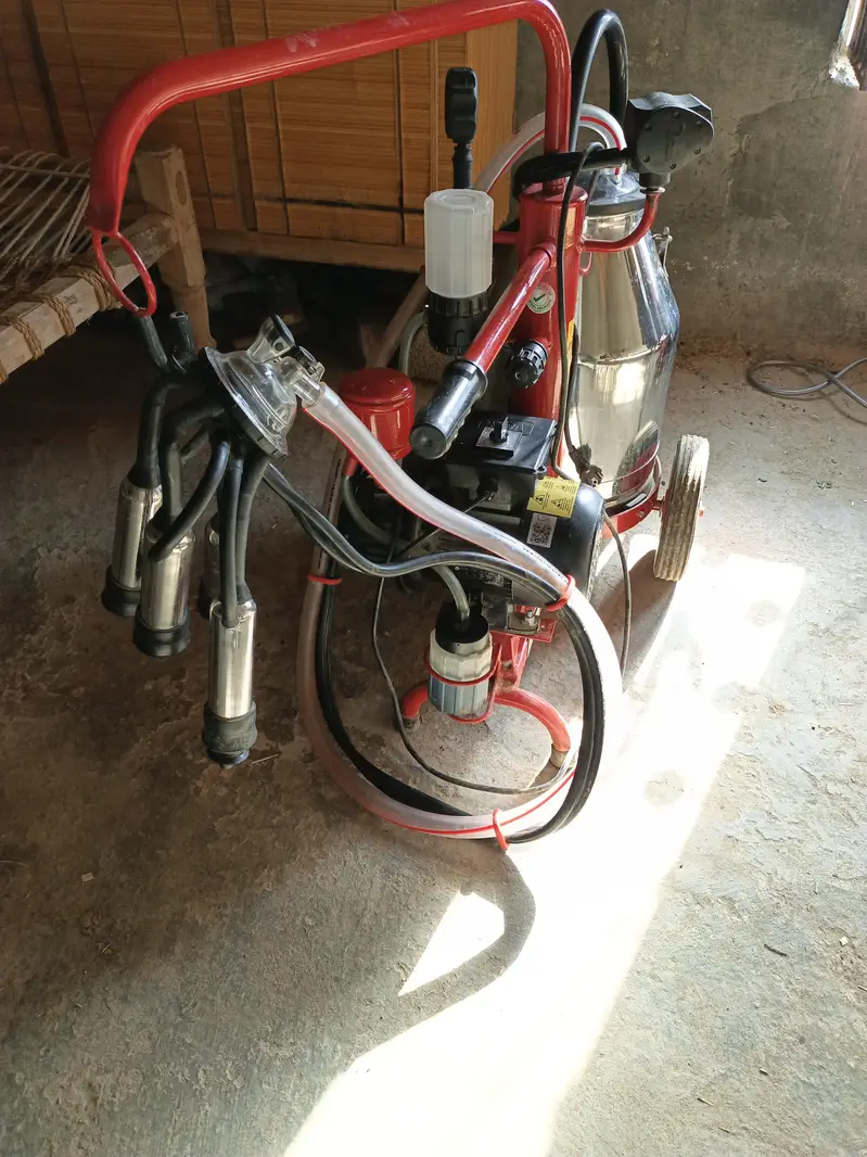 Milking machine , Melasty milking machine single cluster — photo 3