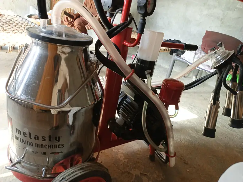 Milking machine , Melasty milking machine single cluster — photo 4