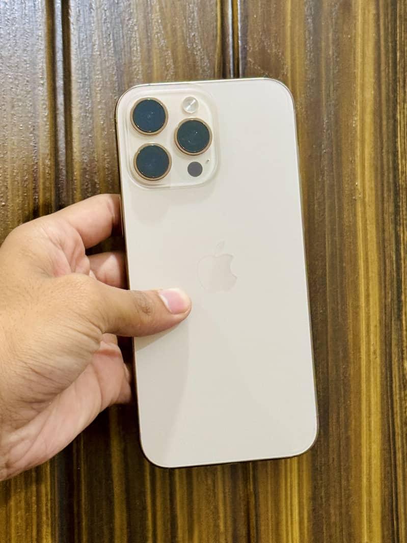 Apple iPhone 16 Pro Max 1