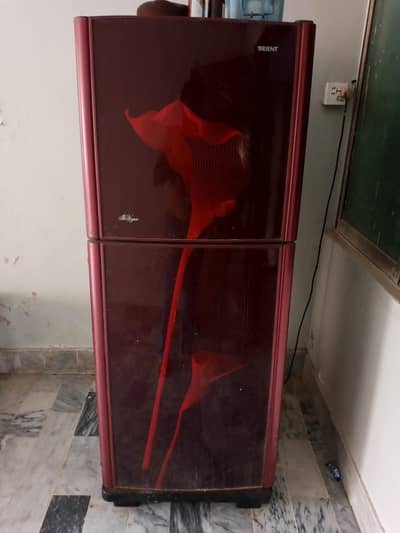 Frig 2 door