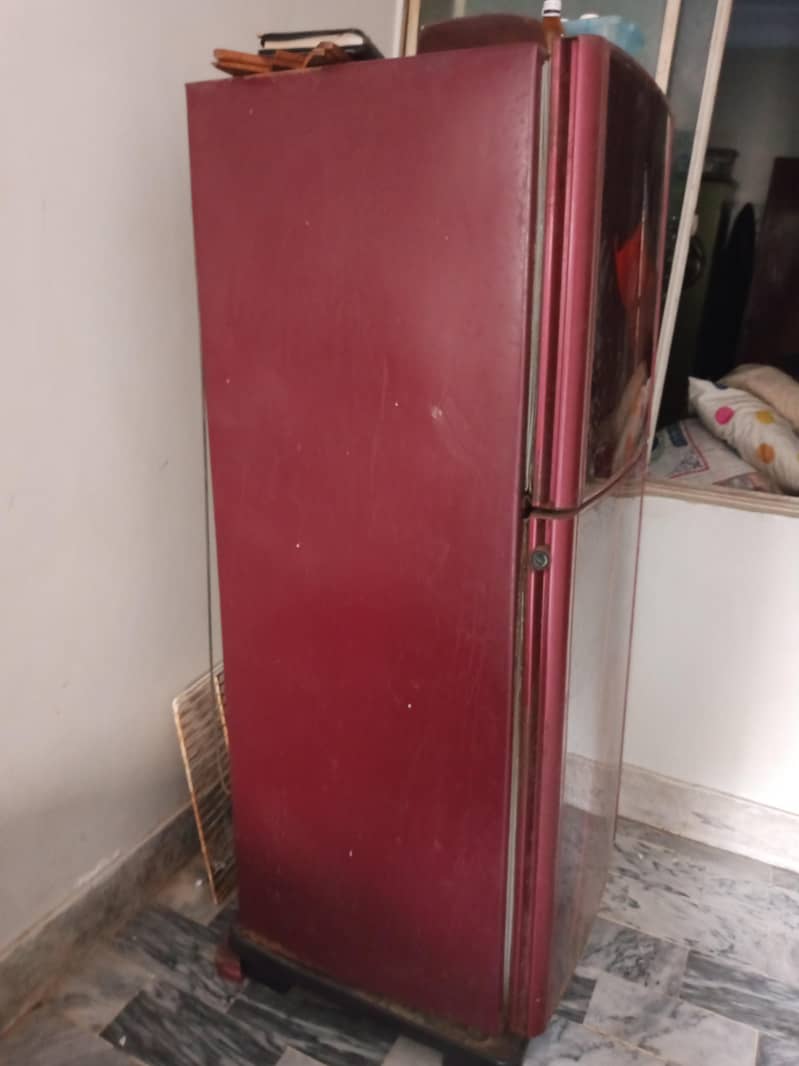 Frig 2 door 3