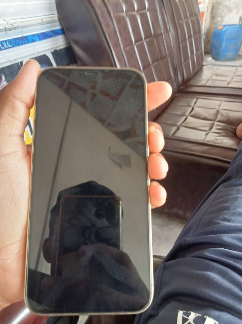 Apple iPhone 12 Pro Max 2