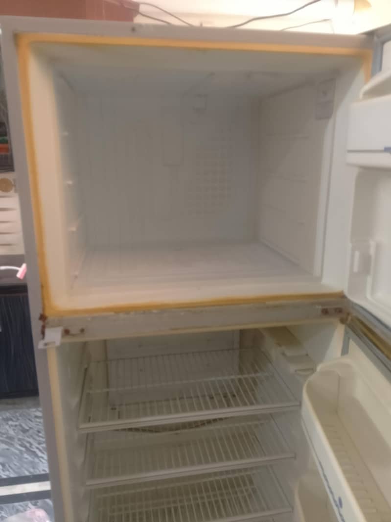 fridge 1