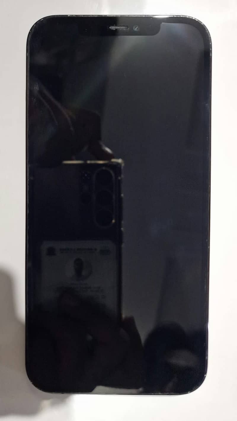 Apple iPhone 12 Pro Max 2