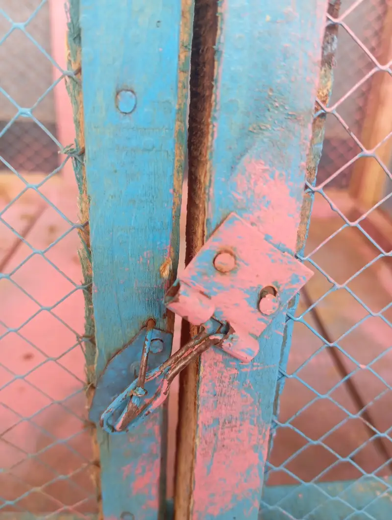 26" x 20" cage for sale. — photo 2