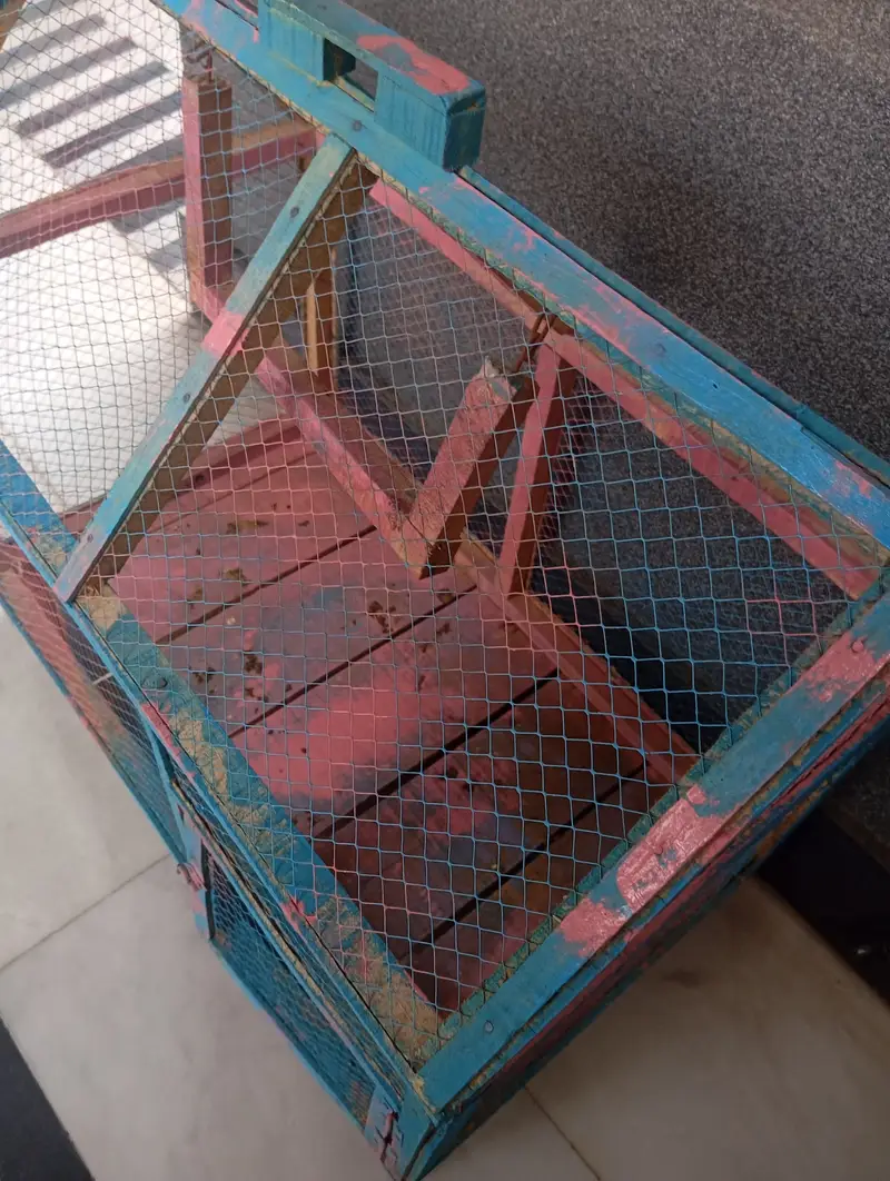 26" x 20" cage for sale. — photo 4