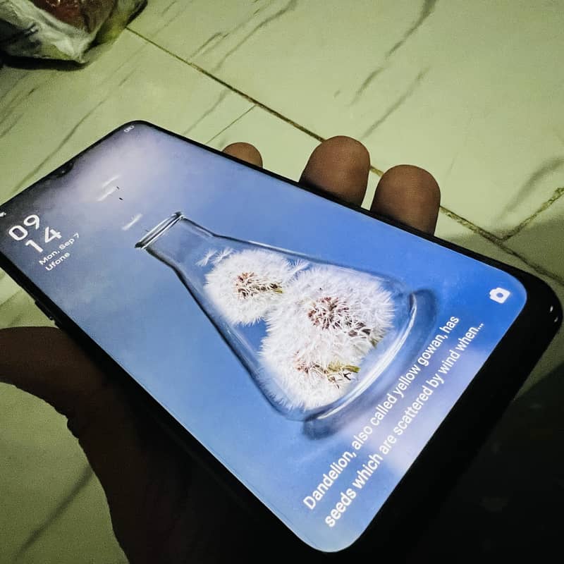 One Plus 11 1