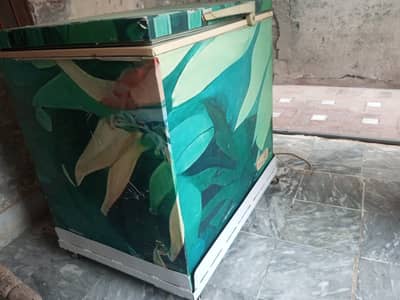 Single Door Freezer Chill Cooling