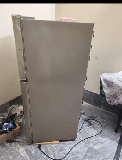 hair refrigerator