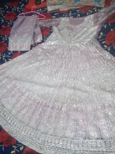 maxci new fresh pic's