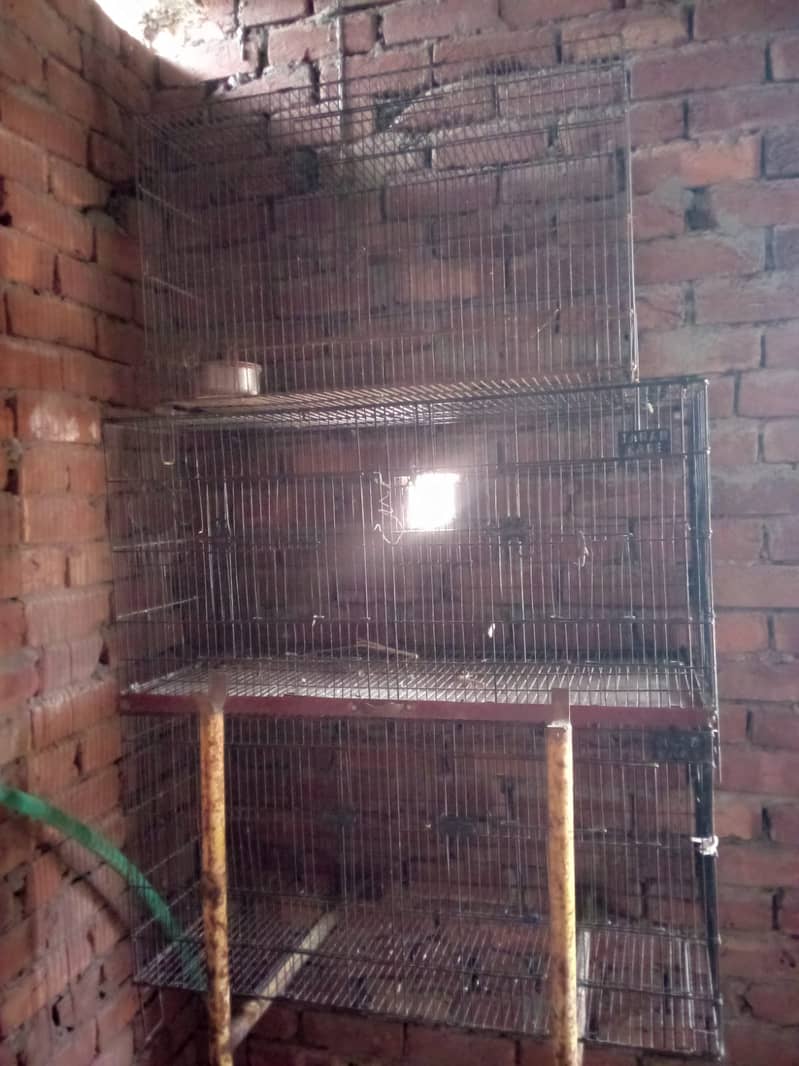 Iron cages 1
