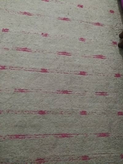 carpet in good condition