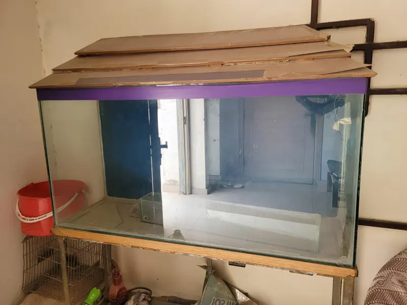 Aquarium for Sale