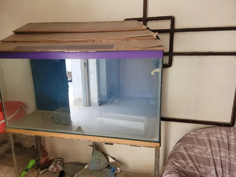 Aquarium for Sale — photo 6