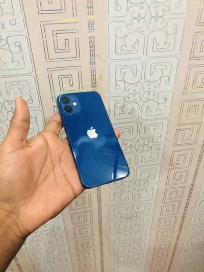 Apple iPhone 12 mini sim time available waterpack