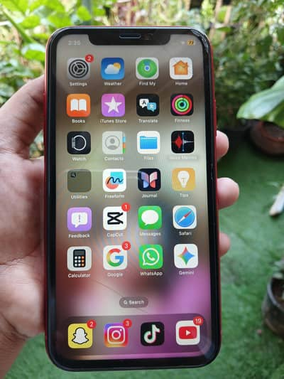 Apple iPhone XR