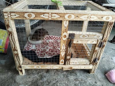 birds and chicks cages