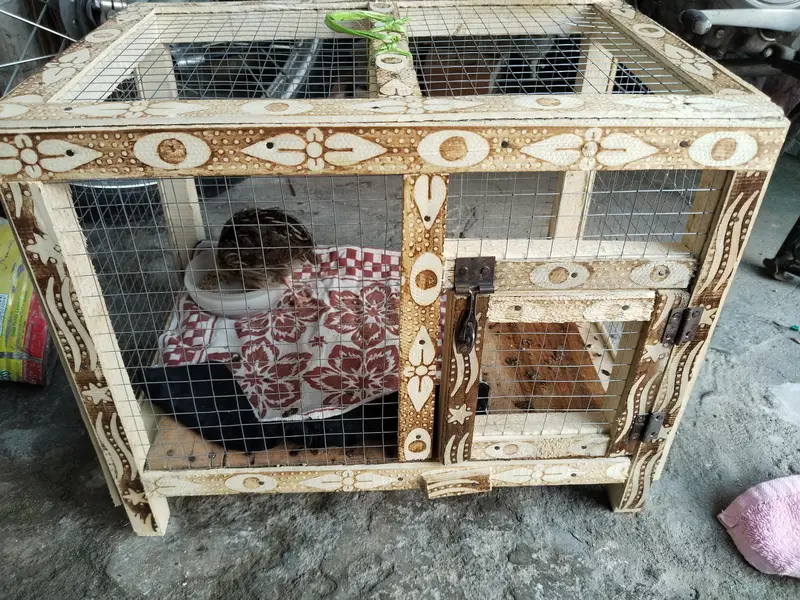 birds and chicks cages — photo 2