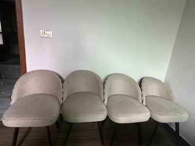 6 dining chairs