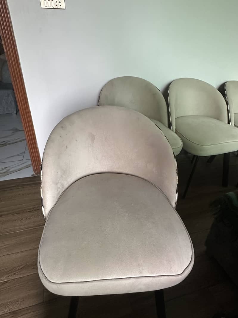 6 dining chairs 1