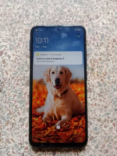 Vivo Y19