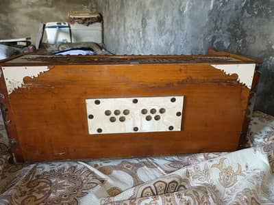 Harmonium (Monarch) reeds