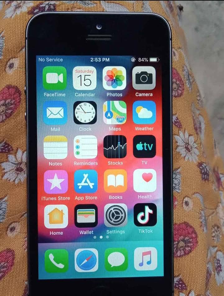 Apple iPhone 5s 1